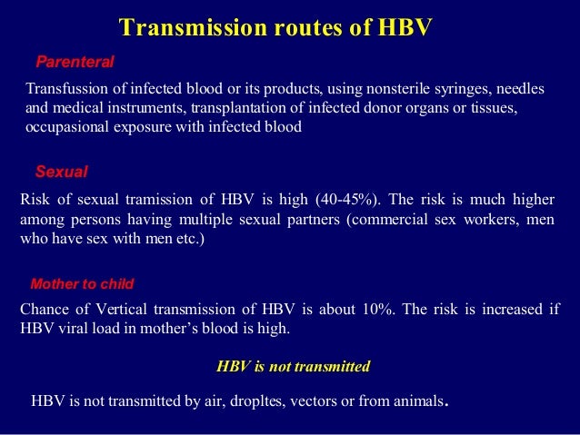 Fuck Suck Girls Hepatitis B And Oral Sex